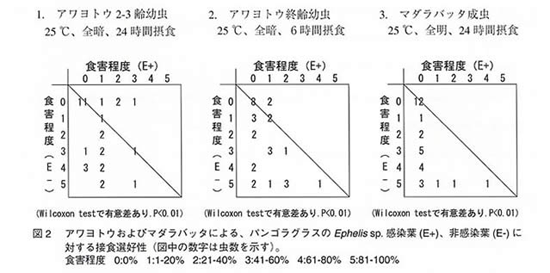 図2 アワヨトウおよびマダラバッタによる、パンゴラグラスのEphelis sp. 感染葉、非感染葉に対する接食選好性