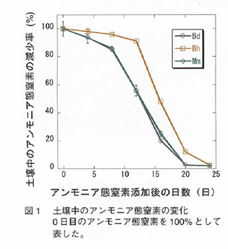 図1 土壌中のアンモニア態窒素の変化