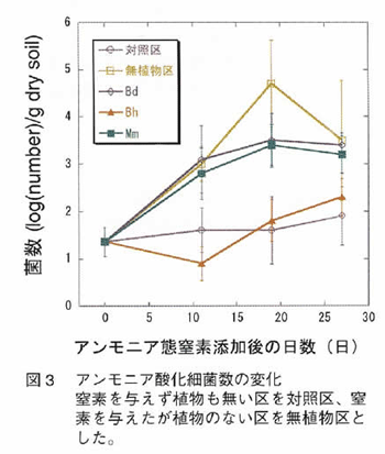 図3 アンモニア酸化細菌数の変化（日）