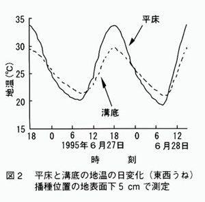 図2 平床と溝底の地温の日変化（東西うね）