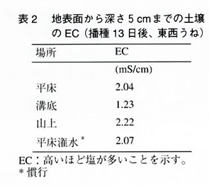 表2 地表面から深さ5cmまでの土壌のEC（播種13日後、東西うね）