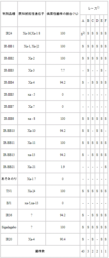 表2 ベトナム産白葉枯病菌の国際判別品種に対する病原性