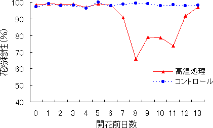 図1 開花前の高温処理が花粉稔性に及ぼす影響