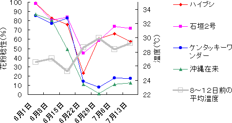 図3 ほ場条件下での各品種の花粉稔性の変化