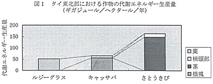 図1 タイ東北部における作物の代謝エネルギー生産量