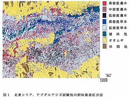 図1 北東シリア、アブダルアジズ試験地の飼料資源区分図