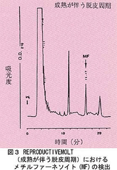 図3 REPRODUCTIVE MOLT（成熟が伴う脱皮周期）におけるメチルファーネソイト（MF）の検出