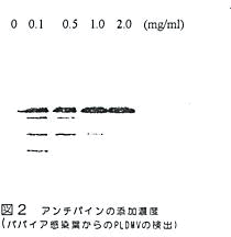 図2 アンチパインの添付濃度