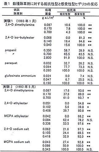 表1 数種除草剤に対する抵抗性型と感受性型ヒデリコの反応