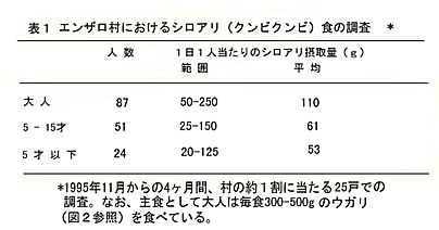 表1 エンザロ村におけるシロアリ（クンビクンビ）食の調査