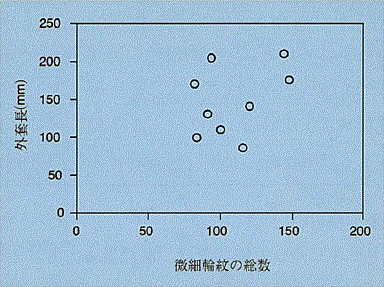 図2 アオリイカの平衡石微細輪紋数と外套長の関係