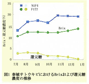 図1 春植サトウキビにおけるBrixおよび還元糖濃度の推移