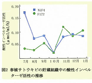 図2 春植サトウキビの貯蔵組織中の酸性インベルターゼ活性の推移