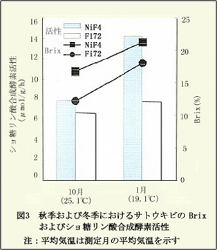 図3 秋季および冬季におけるサトウキビのBrixおよびショ糖リン酸合成酵素活性