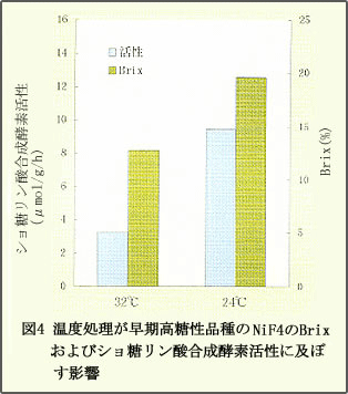 図4 温度処理が早期高糖性品種NiF4のBrixおよびショ糖リン酸合成酵素活性に及ぼす影響