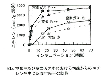 図3 空気中及び窒素ガス中における籾殻からのエチレン生成に及ぼすFe++の効果