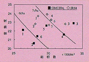 図2 窒素施肥法と収量構成要素（1996/97乾季）