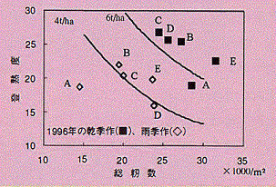 図3 ソンハウステートファーム5農家の収量構成要素