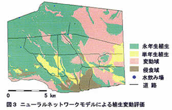 図3 ニューラルネットワークモデルによる植生変動評価