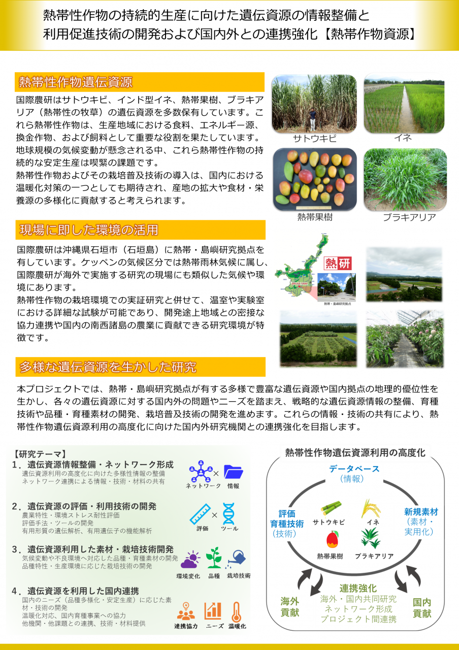 熱帯性作物の持続的生産に向けた遺伝資源の情報整備と利用促進技術の開発および国内外との連携強化【熱帯作物資源】