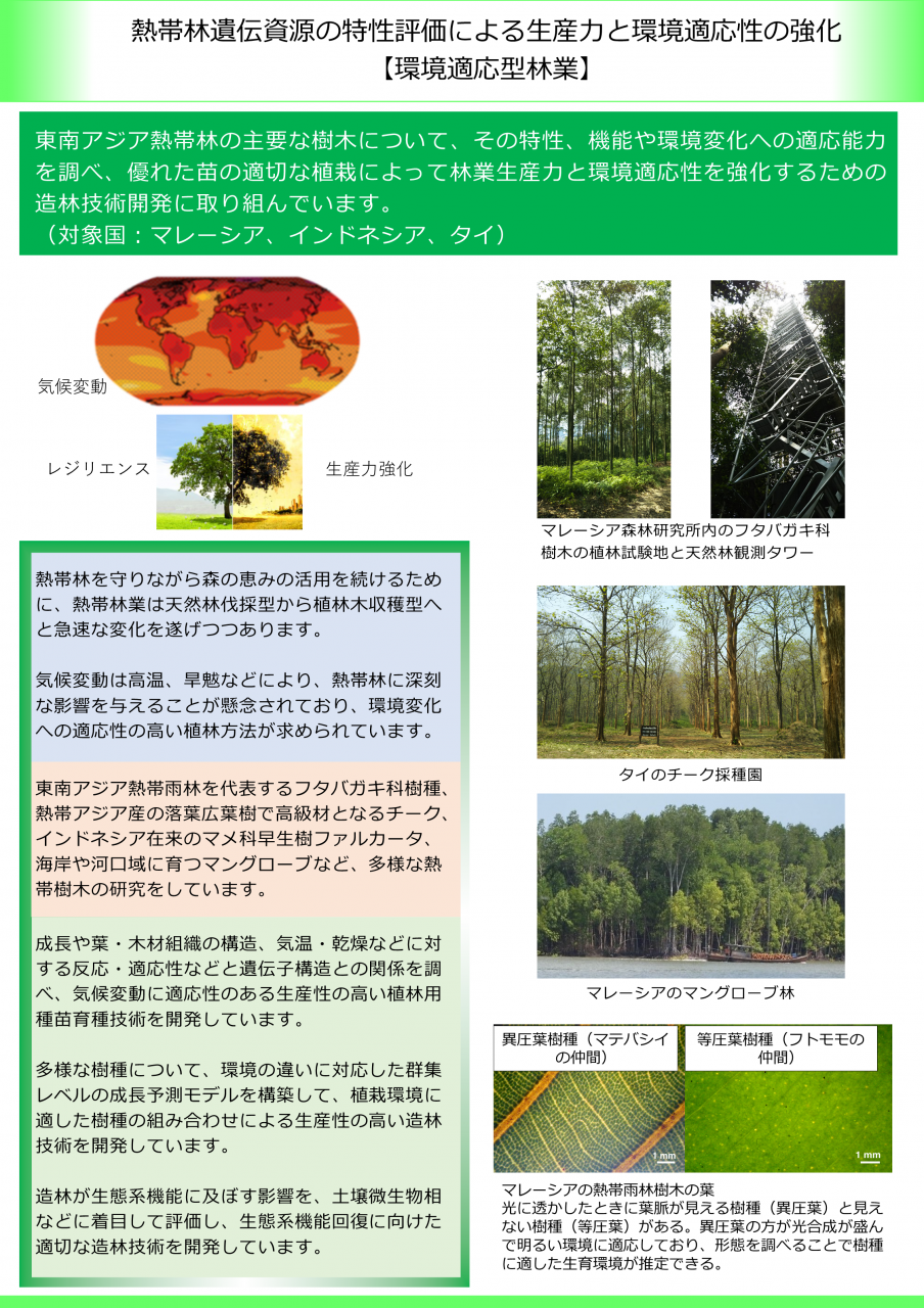 熱帯林遺伝資源の特性評価による生産力と環境適応性の強化【環境適応型林業】
