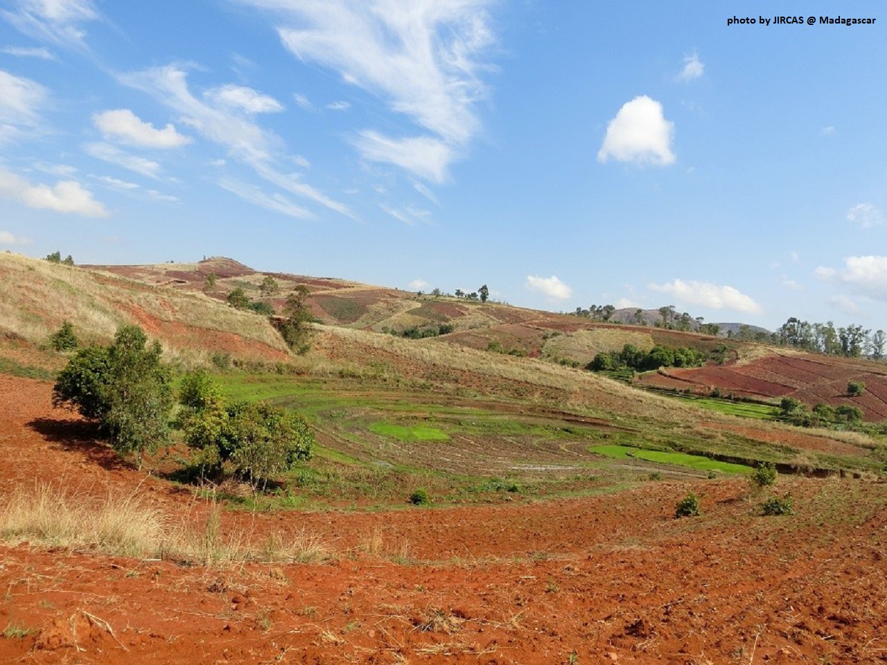483. アフリカ農業開発のカギとなる土壌管理研究 | 国立研究開発法人 国際農林水産業研究センター | JIRCAS