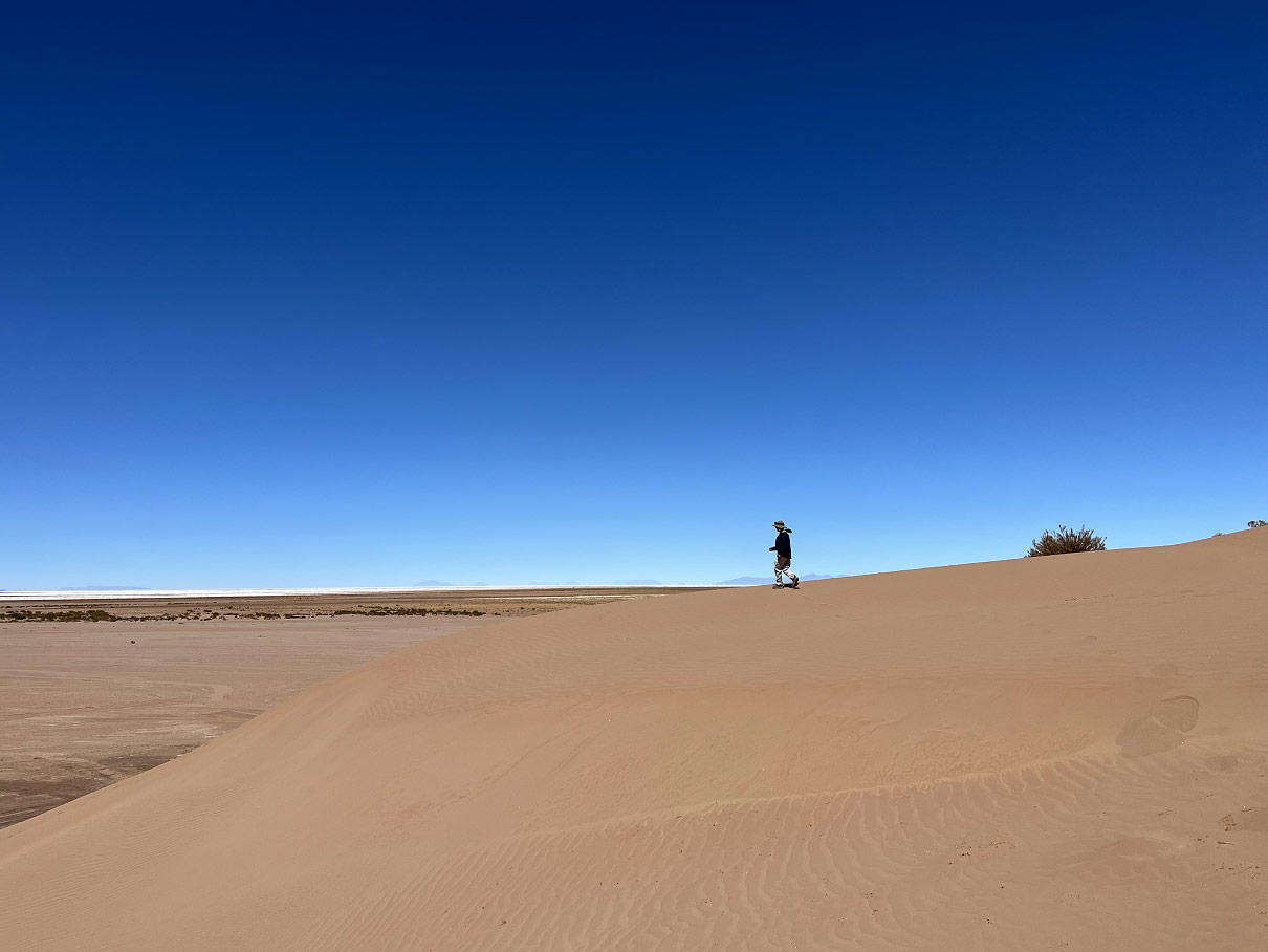 Quinoafield at chacala