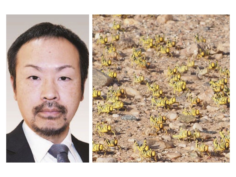 前野 浩太郎主任研究員が第19回 日本学術振興会賞の受賞者に決定