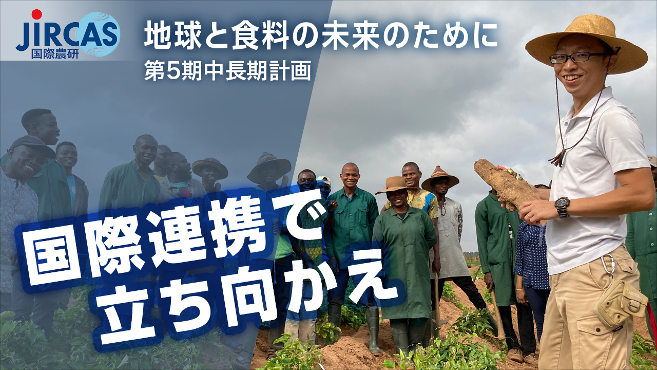 【公式】国際農研 第5期中長期計画　「国際連携で立ち向かえ」