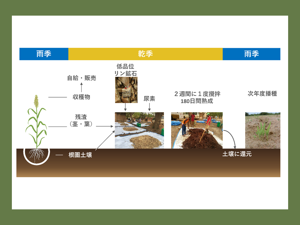 714. 土壌微生物の力で食料生産と土壌肥沃度の向上を両立 | 国立
