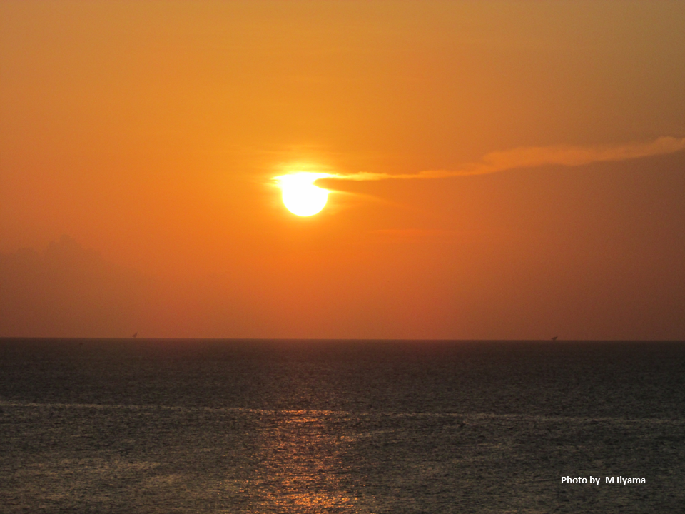 1238. Global warming increases the duration of marine heatwaves | Japan ...