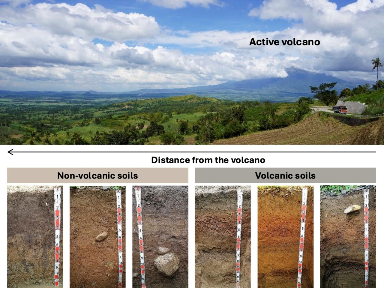 ネグロス島、調査地と土壌の様子
