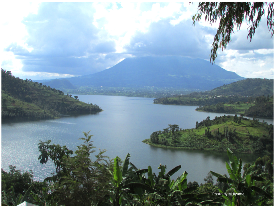 Database Ico Files 1575. The role of agrifood systems in achieving biodiversity targets ...