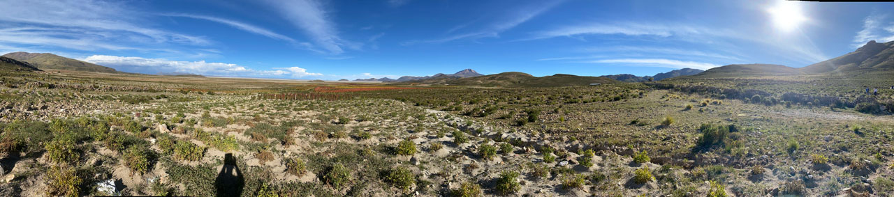 Quinoa field panorama1