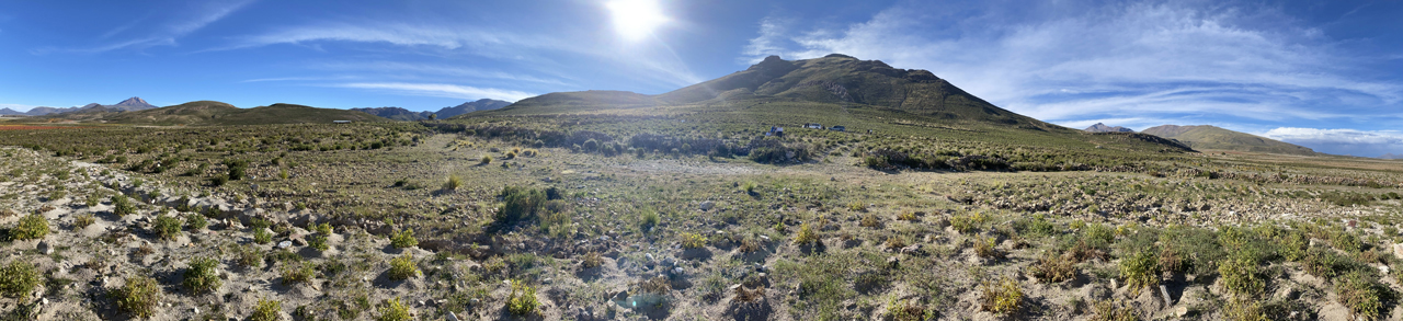 Quinoa Field panorama2