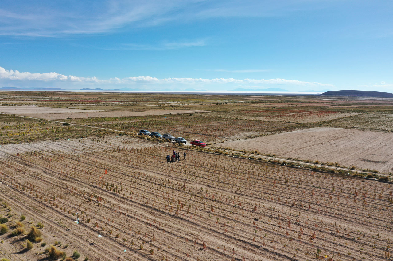 Quinoafield at chacala