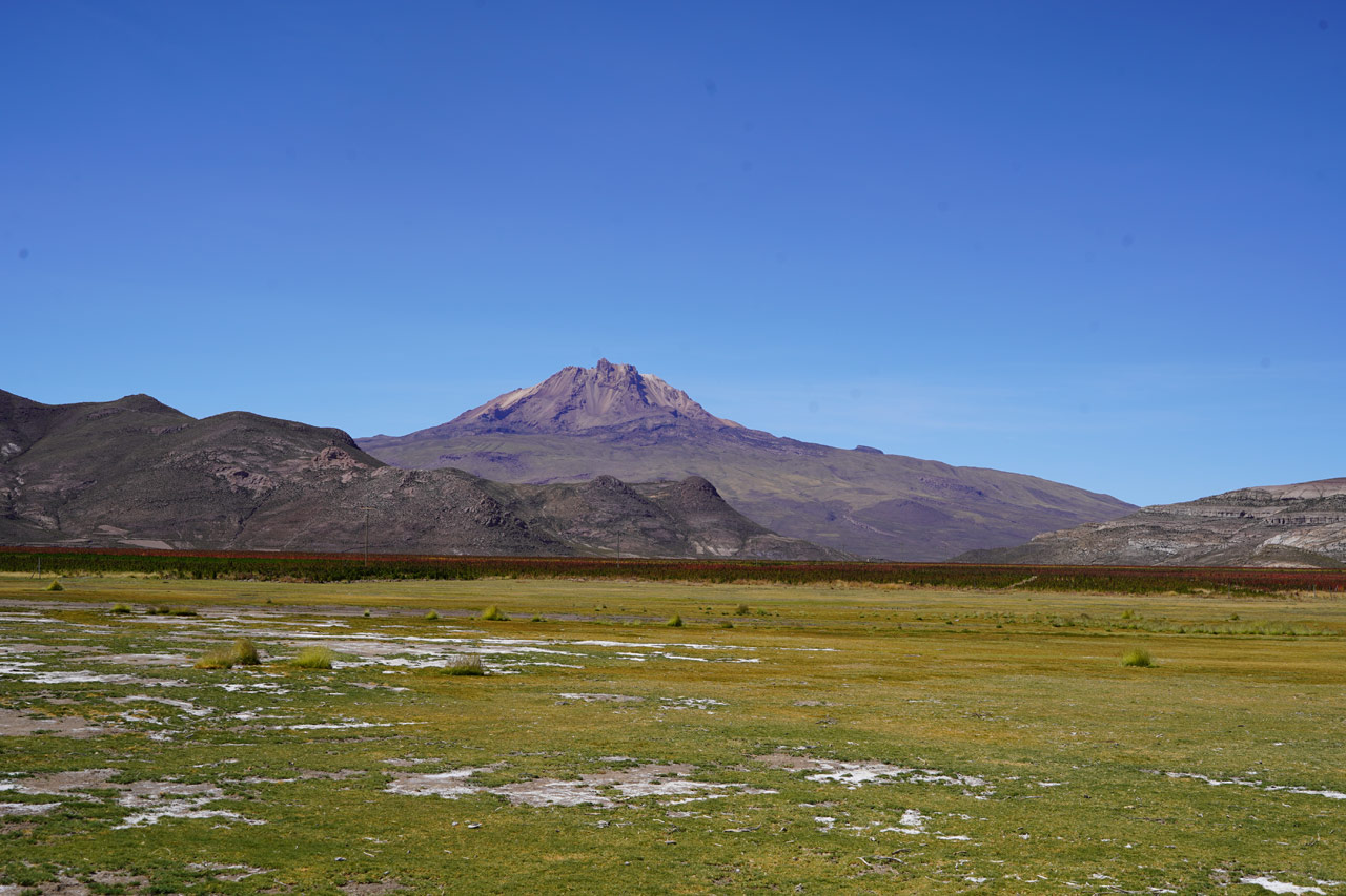 Quinoafield at chacala