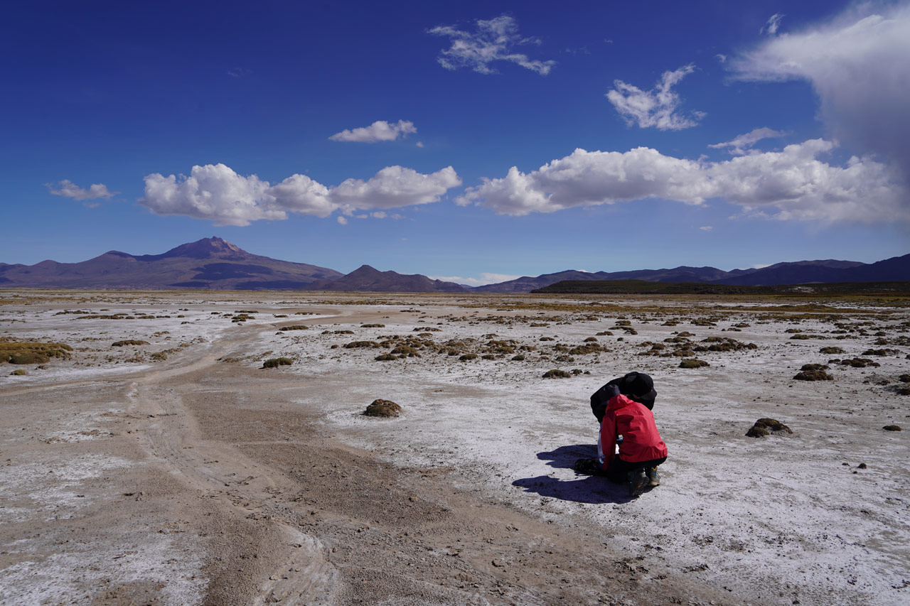 Quinoafield at chacala