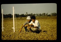 Installation of a tension meter with Thai collaborator