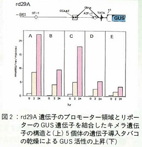 図2