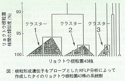 図