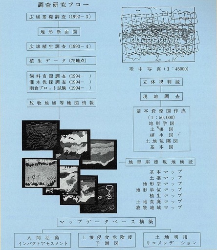 図