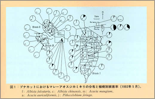 図1