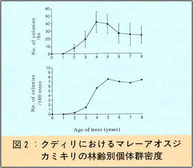 図2