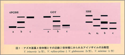 図1