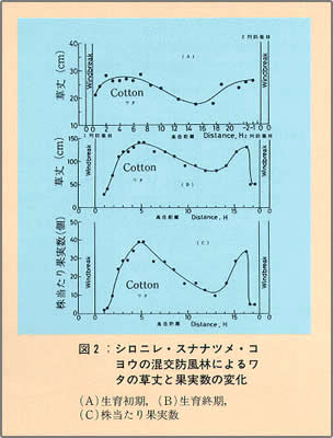 図2