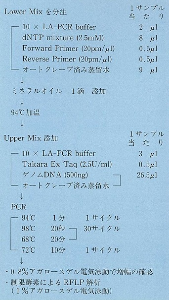 図1