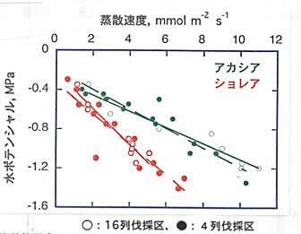 図2