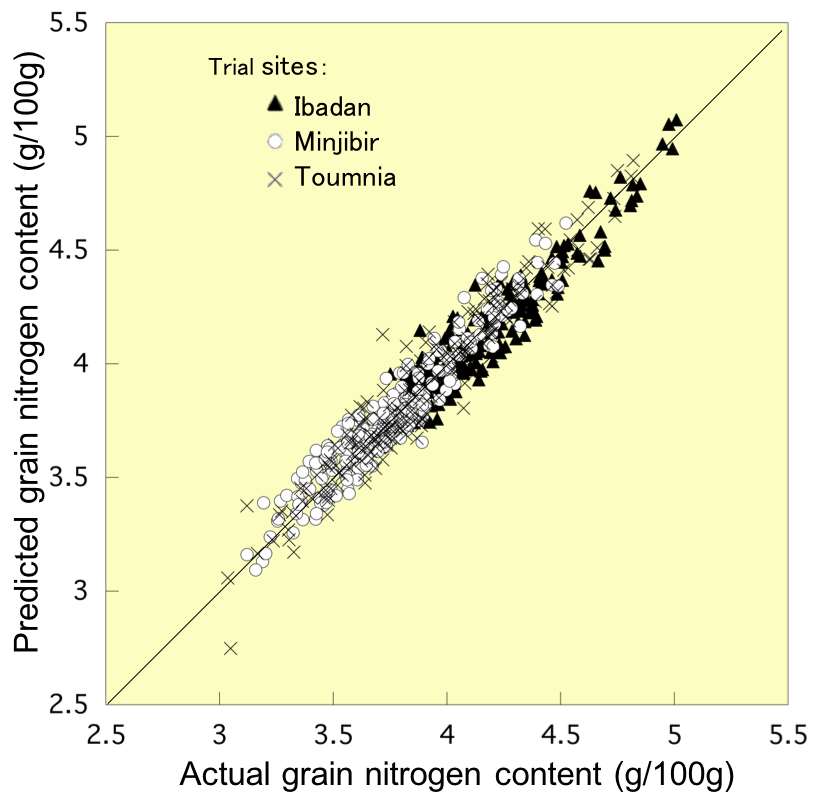 Fig. 2. Validation of the developed model for determining the nitrogen content of grain samples collected from different agro-ecological zones in Ibadan, Minjibir and Toumnia