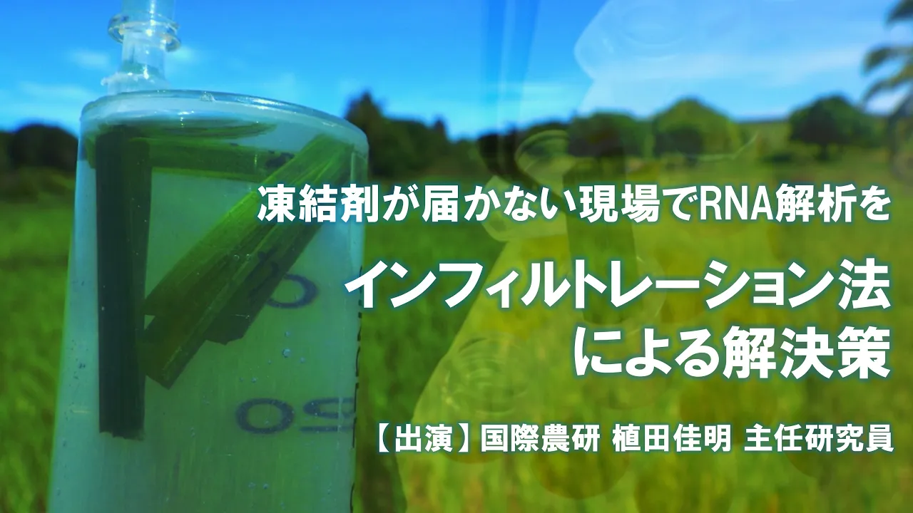凍結剤が届かない現場でのRNA解析を